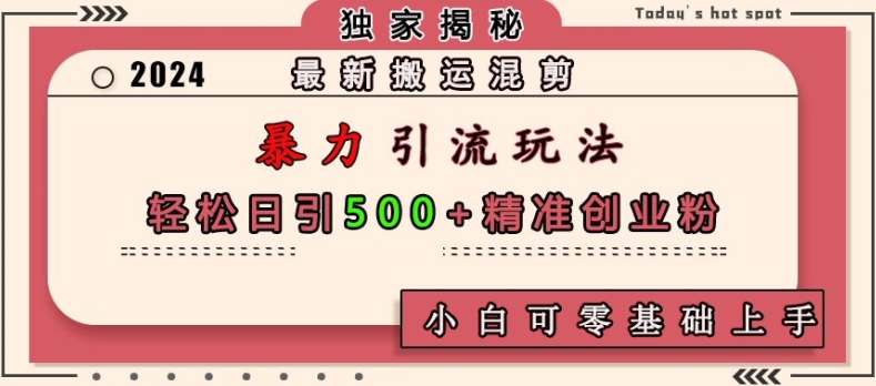 最新搬运混剪暴力引流玩法，轻松日引500+精准创业粉，小白可零基础上手-爱搜