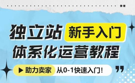 独立站新手入门体系化运营教程，助力独立站卖家从0-1快速入门!-爱搜