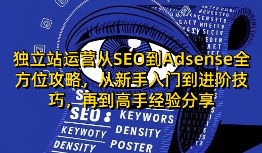 独立站运营从SEO到Adsense全方位攻略，从新手入门到进阶技巧，再到高手经验分享-爱搜