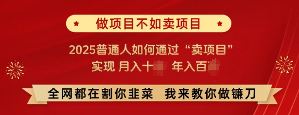 必看，做项目不如卖项目，2025普通人如何通过“卖项目”实现月入十个，年入百个-爱搜