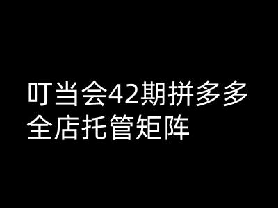 叮当会拼多多打爆班原创高阶技术第42期，拼多多全店托管矩阵-爱搜