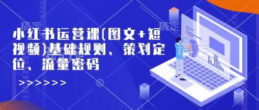 小红书运营课(图文+短视频)基础规则、策划定位、流量密码-爱搜