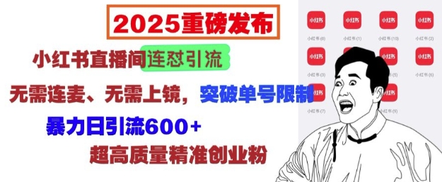 2025重磅发布：小红书直播间连怼引流，无需连麦、无需上镜，突破单号限制，暴力日引流600+-爱搜