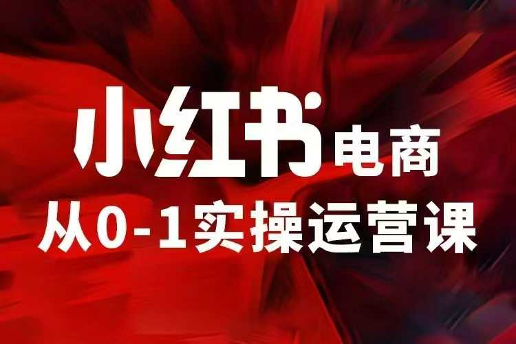 小红书电商运营，97节小红书vip内部课，带你实现小红书赚钱-爱搜