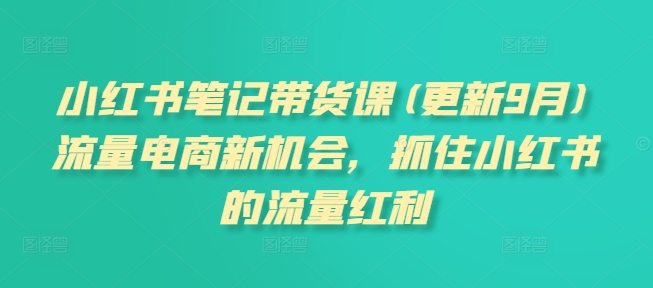 小红书笔记带货课(更新25年2月)流量电商新机会，抓住小红书的流量红利-爱搜