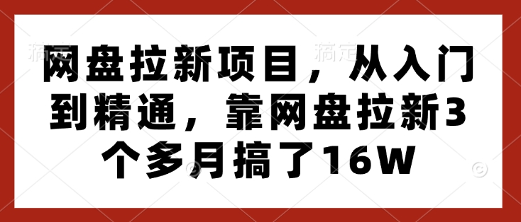 网盘拉新项目，从入门到精通，靠网盘拉新3个多月搞了16W-爱搜