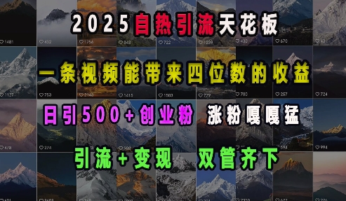 2025自热引流天花板，一条视频能带来四位数的收益，引流+变现双管齐下，日引500+创业粉，涨粉嘎嘎猛-爱搜