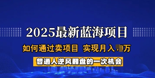 2025蓝海项目，普通人如何通过卖项目，实现月入过W，全过程【揭秘】-爱搜