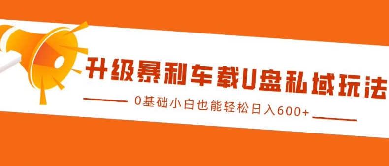 升级暴利车载U盘私域玩法，0基础小白也能轻松日入多张【揭秘】-爱搜