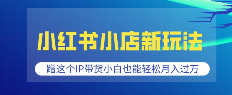 小红书小店新玩法，蹭这个IP带货，小白也能轻松月入过W【揭秘】-爱搜