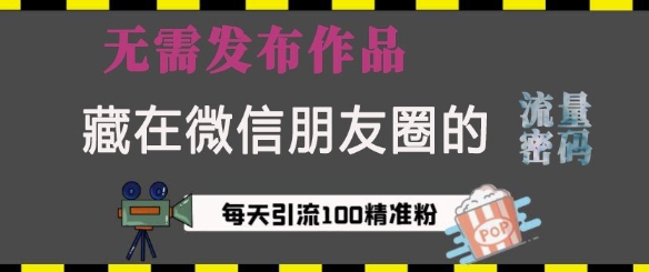 藏在微信朋友圈的流量密码，无需发布作品，单日引流100+精准创业粉【揭秘】-爱搜