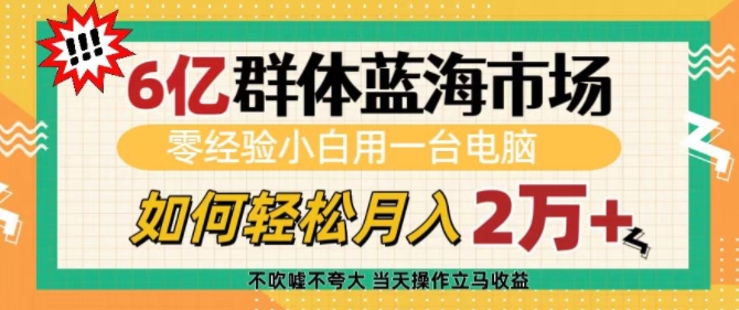 6亿群体蓝海市场，零经验小白用一台电脑，如何轻松月入过w【揭秘】-爱搜