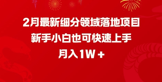 2月最新细分领域落地项目，新手小白也可快速上手，月入1W-爱搜