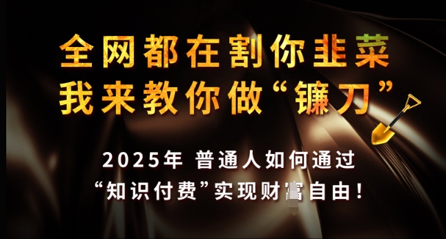 全网都在割你韭菜，我来教你做镰刀，2025年普通人如何通过 知识付费 实现财F自由【揭秘】-爱搜