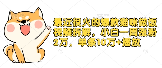 最近很火的爆款猫咪做饭视频拆解，小白一周涨粉2万，单条10万+播放(附保姆级教程)-爱搜