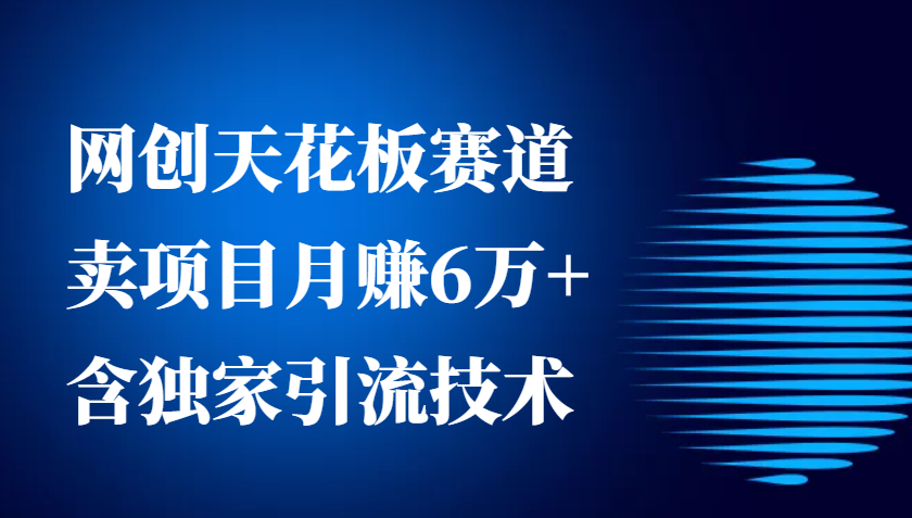 网创天花板赛道，卖项目月赚6万+，含独家引流技术(共26节课)-爱搜