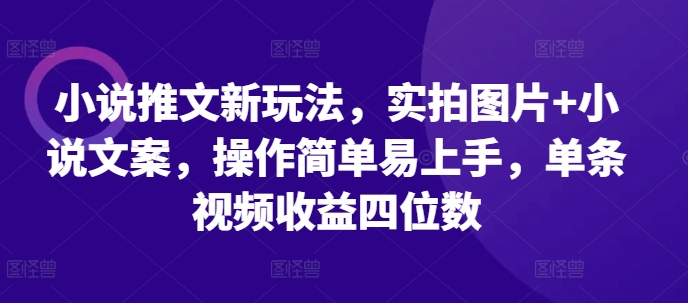 小说推文新玩法，实拍图片+小说文案，操作简单易上手，单条视频收益四位数-爱搜