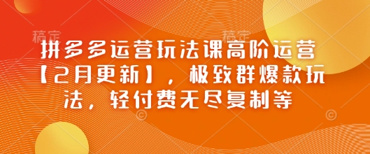 拼多多运营玩法课高阶运营【2月更新】，极致群爆款玩法，轻付费无尽复制等-爱搜