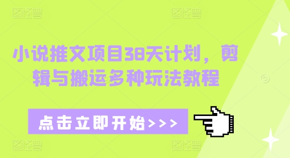 小说推文项目38天计划，剪辑与搬运多种玩法教程-爱搜