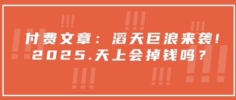 付费文章：滔天巨浪来袭！2025天上会掉钱吗？-爱搜