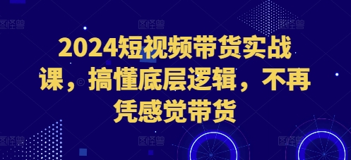 2024短视频带货实战课，搞懂底层逻辑，不再凭感觉带货-爱搜