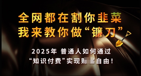 知识付费如何做到月入过W+，2025我来教你做“镰刀”【揭秘】-爱搜