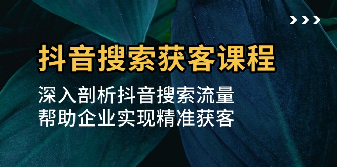 抖音搜索获客课程：深入剖析抖音搜索流量，帮助企业实现精准获客-爱搜