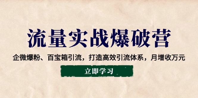 流量实战爆破营：企微爆粉、百宝箱引流，打造高效引流体系，月增收万元-爱搜