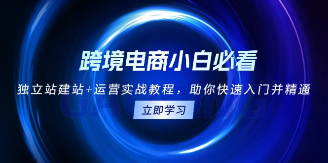 跨境电商小白必看！独立站建站+运营实战教程，助你快速入门并精通-爱搜