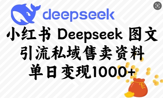 小红书Deepseek图文引流私域售卖资料，单日变现多张-爱搜