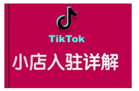 TikTok跨境小店运营全攻略，帮助你独立运营TK跨境小店的能力，实现销量增长-爱搜