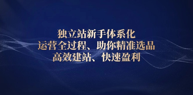 独立站新手体系化 运营全过程，助你精准选品、高效建站、快速盈利-爱搜