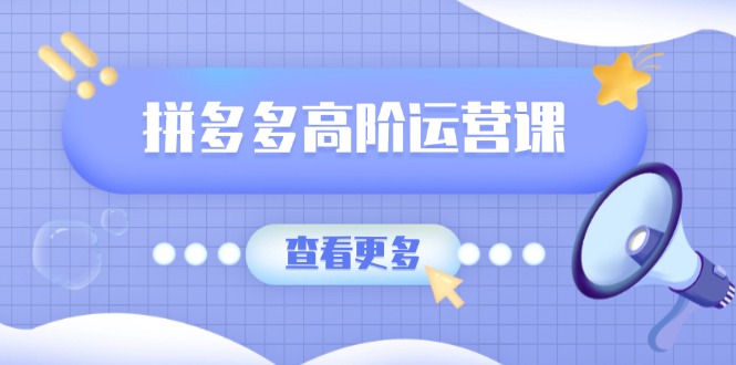 拼多多高阶运营课：极致群爆款玩法，轻付费无尽复制，打造单品爆款之路-爱搜