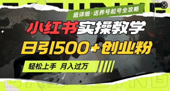 2月小红书最新日引500+创业粉实操教学【超详细】小白轻松上手，月入1W+，附小红书养号起号SOP-爱搜