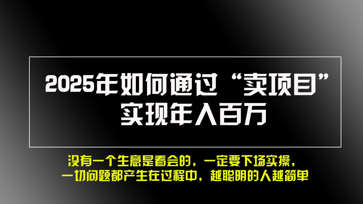 2025年如何通过“卖项目”实现年入百万-爱搜