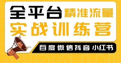 全平台精准流量实战训练营，百度微信抖音小红书SEO引流教程-爱搜