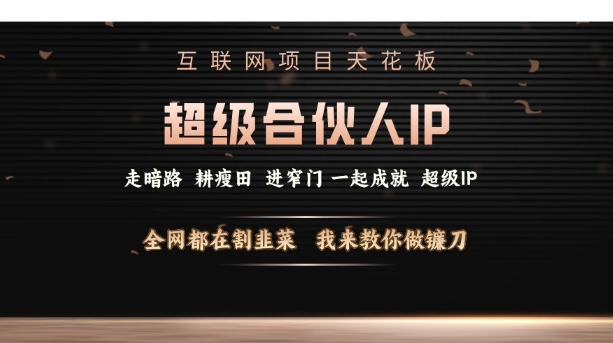 互联网项目天花板，超级合伙人IP，全网都在割韭菜，我来教你做镰刀【仅揭秘】-爱搜